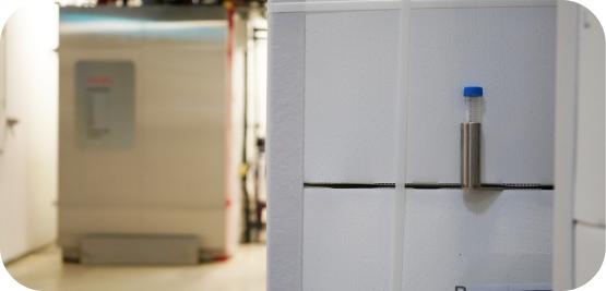 The Sterilization Validation Steps Aligned with ISO 11135