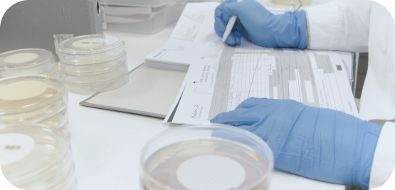 Sterilization Validation