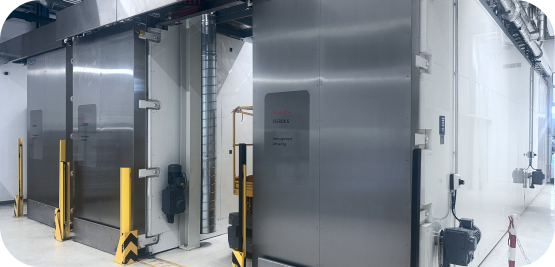 Routine Sterilization During the Industrialization Phase